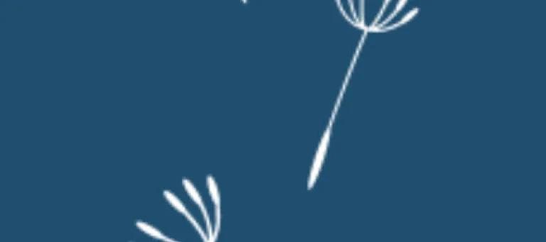 Image of white dandelion seeds against a blue background