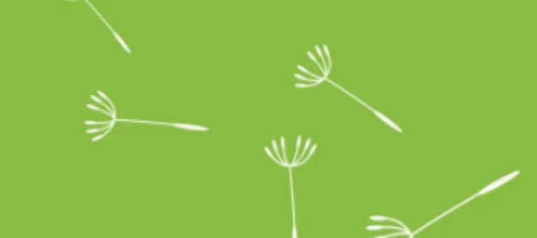 Green background with dandelion seeds