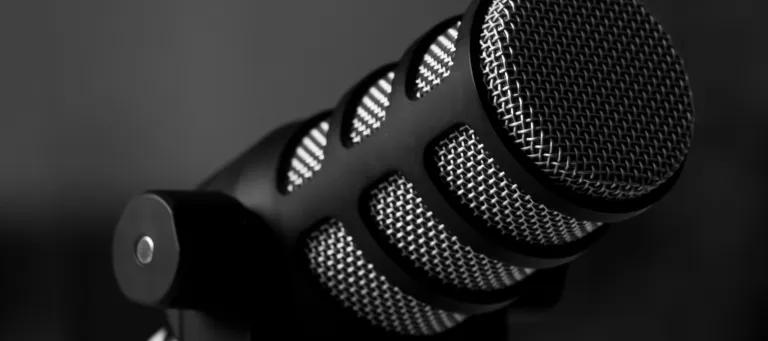 An image of a microphone