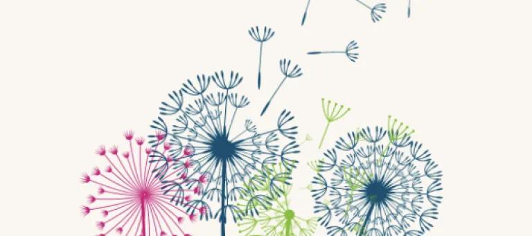 Multicoloured dandelions