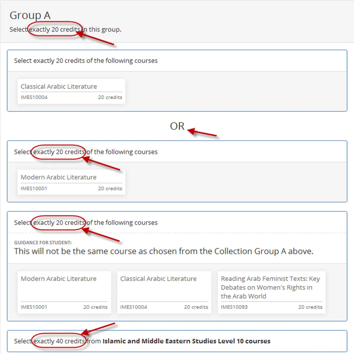 Image of dpt elective course group choices