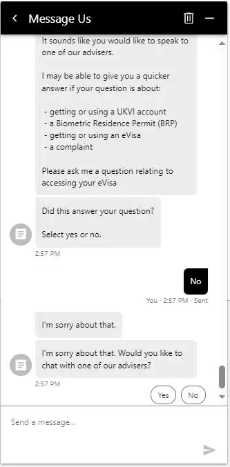 Screenshot of a evisa Webchat - Speak to an advisor not a computer