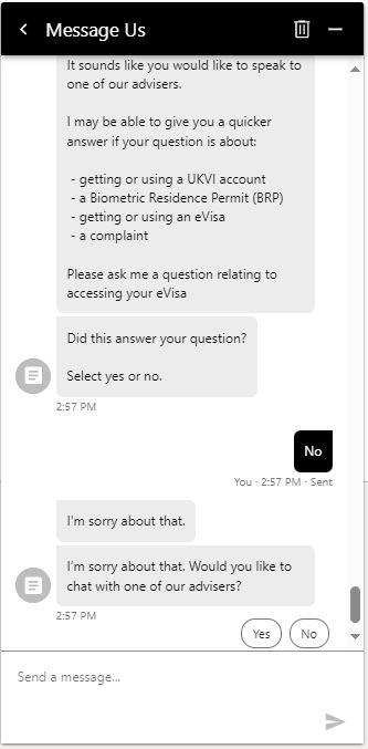 Screenshot of a evisa Webchat - Speak to an advisor not a computer