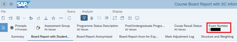 Filter on BI report