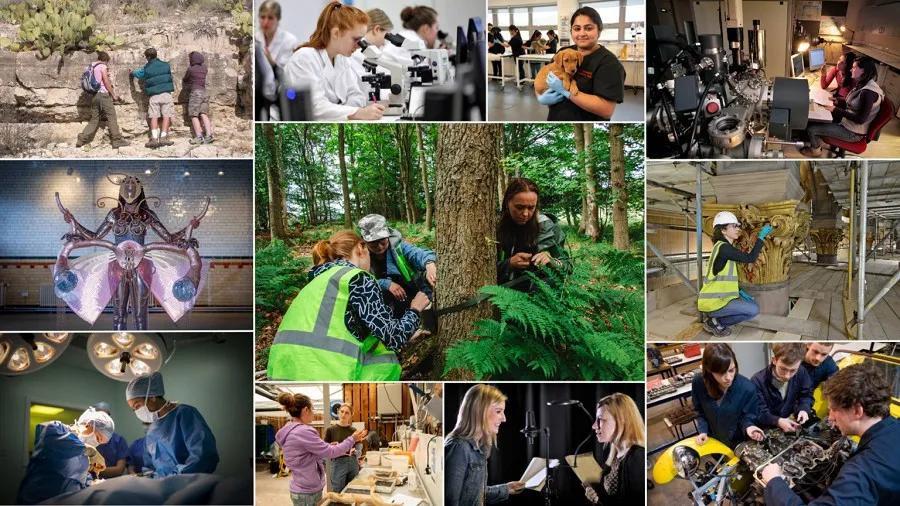 Composite image of students undertaking experiential learning activities