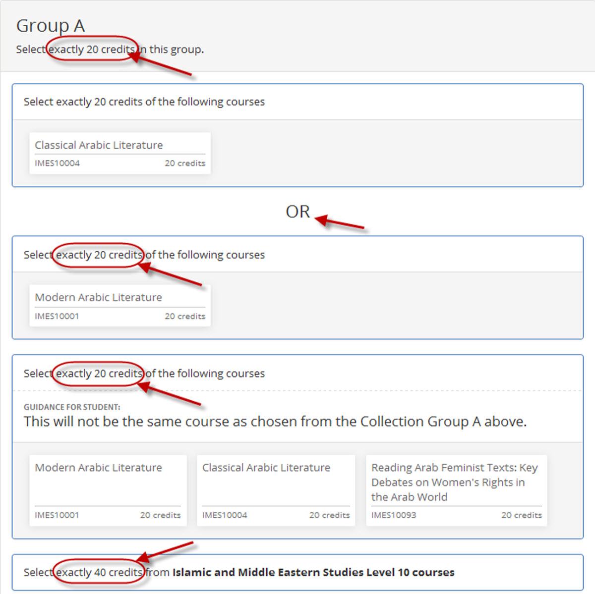 Image of dpt elective course group choices